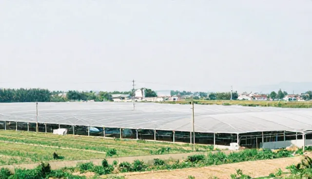 美发工具使用误区澄清与维护建议