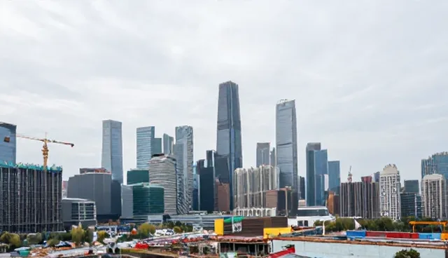 软件设计中检查要点的适用条件与选择依据